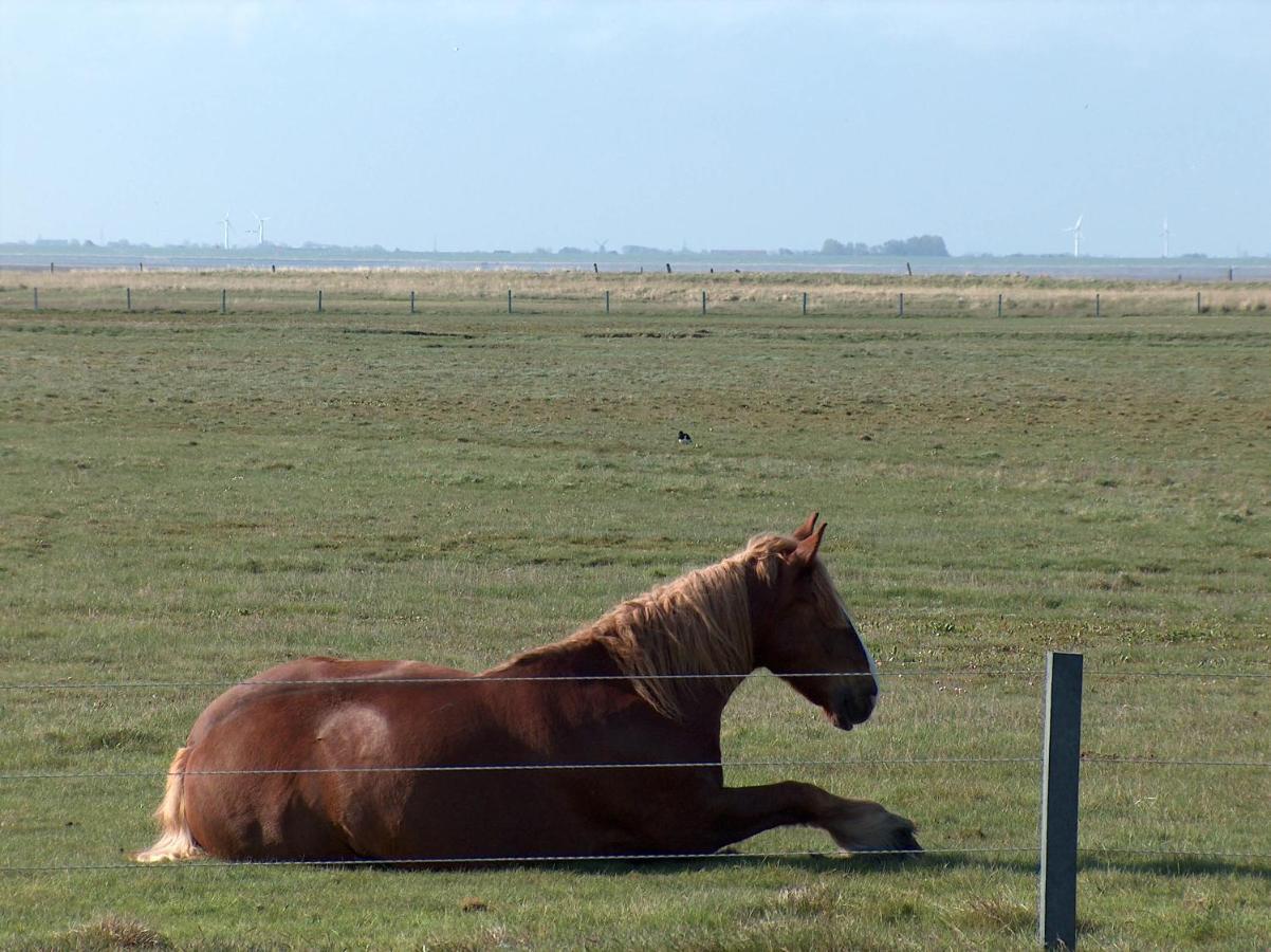 Seevilla Wietjes Whg 3 Baltrum Luaran gambar